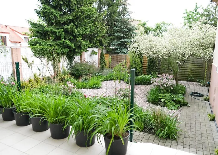 Apartamenty Mragowo Warszawska Cudo Studio